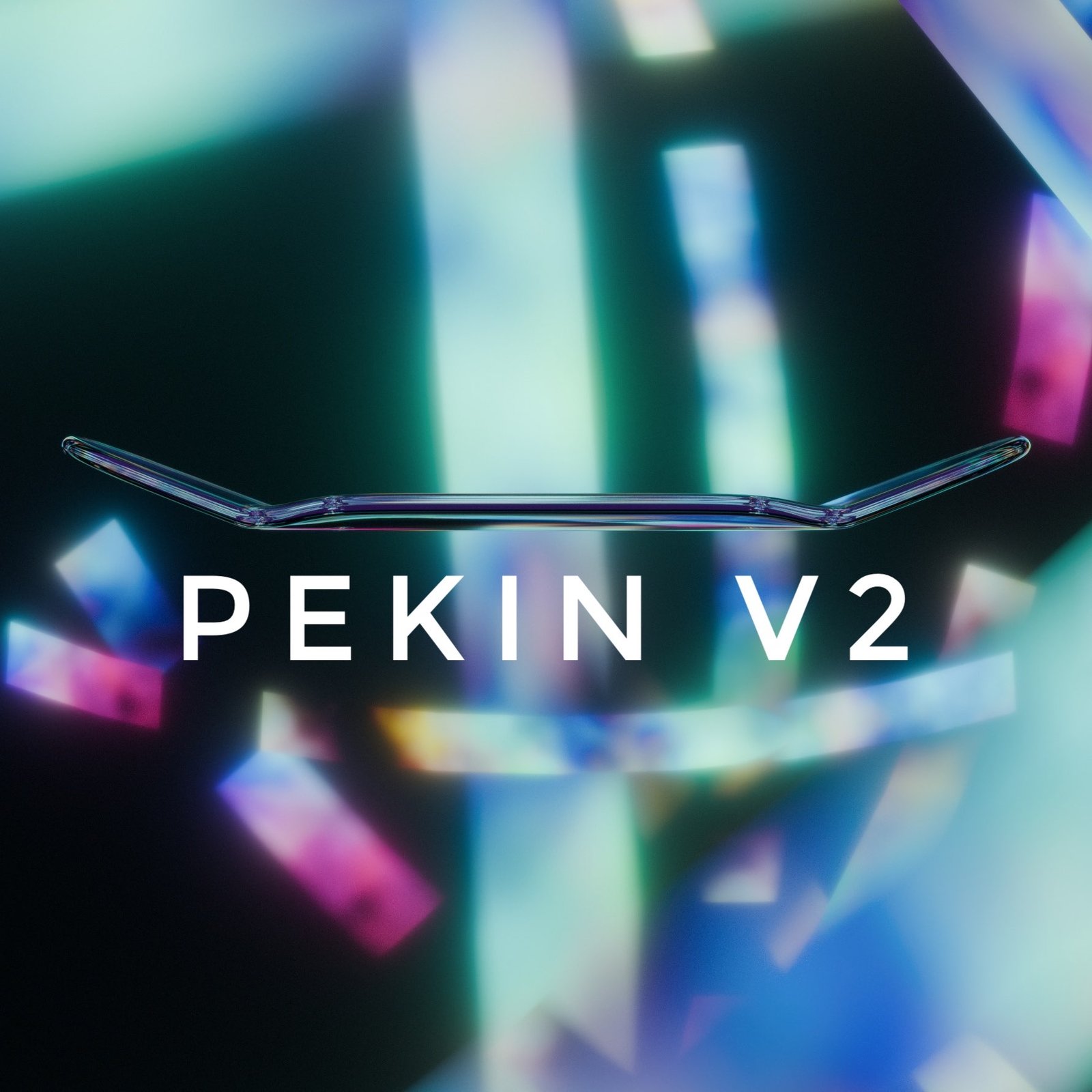 ディック　デュアーステイン/always trust a duck 51Dvaog9EjL._UF350,350_QL80_.jpg